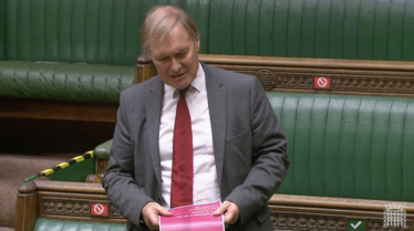 Sir David called for a debate on the treatment of those with endometriosis 